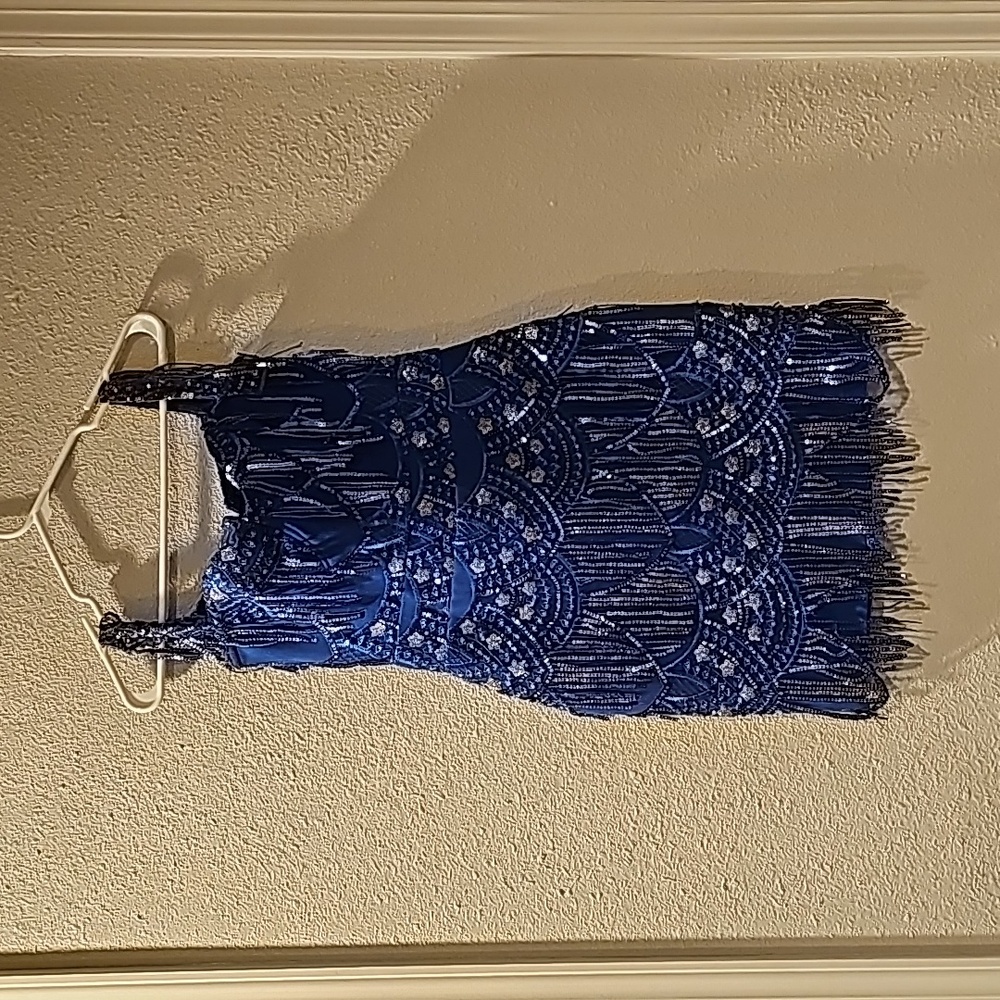 NWT, Stunning And Exquisite "Bella Barnett" Dress